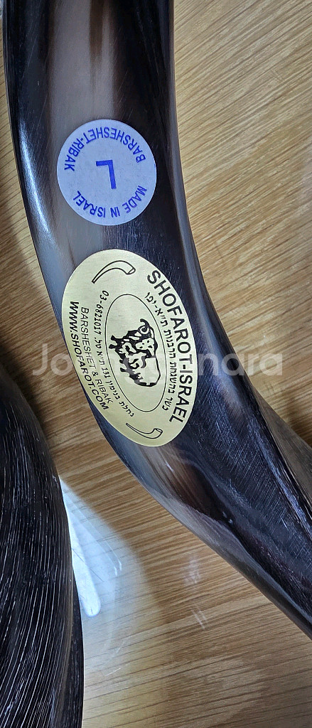 쇼파르 뿔나팔 입니다필요가 없어서 판매 코셔인증 품질--2