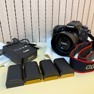 캐논 EOS 70D + 50mm 1.8 stm + 배터리 4개