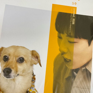 강민철 무제 3주차~8주차(새책)