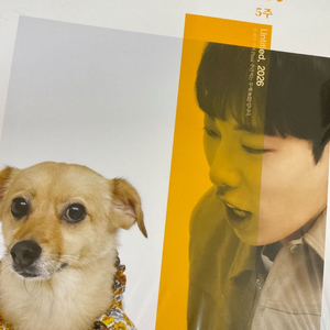 강민철 무제 3주차~8주차(새책)