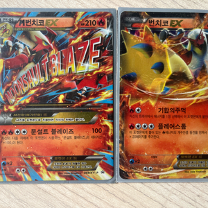 포켓몬카드 메가 번치코 EX, 번치코EX 프로모