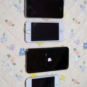 아이폰 SE 실버 스페이스그레이 XS 로즈골드 아이팟터치 4세대 화이트