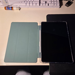 갤럭시탭 S10 Lite