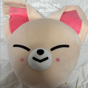 스키주 1차 굿즈 md 스키즈 이미지