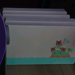 닌텐도 스위치 동물의 숲 에디션 독