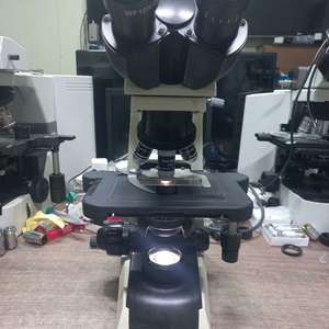 BM2000 쌍안LED생물현미경 싸게판매합니다 이미지