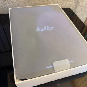 아이패드 프로 11인치 M4 셀룰러 256GB