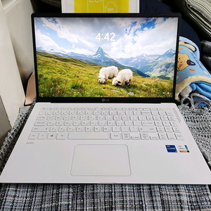 최고급 LG 그램 쿼드 코어 i5 16G 윈11 초경량