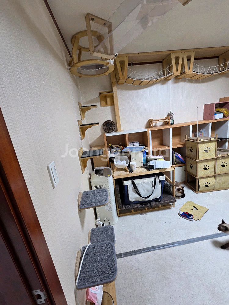 플레이캣 고층 캣타워--1