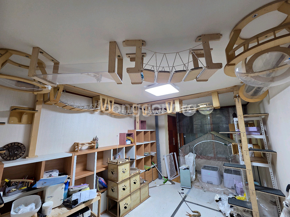 플레이캣 고층 캣타워--0