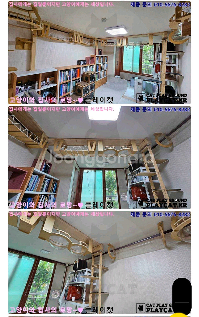 플레이캣 고층 캣타워--5