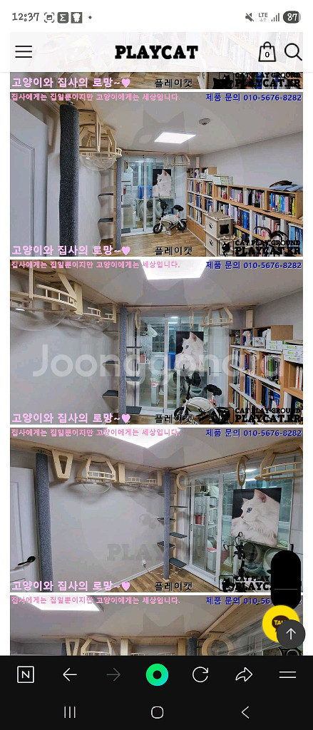 플레이캣 고층 캣타워--3