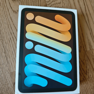 아이패드미니6 256 셀룰러 LTE애케플 애플케어플러스