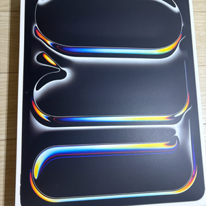 아이패드 프로 13인치 M5 512GB 와이파이