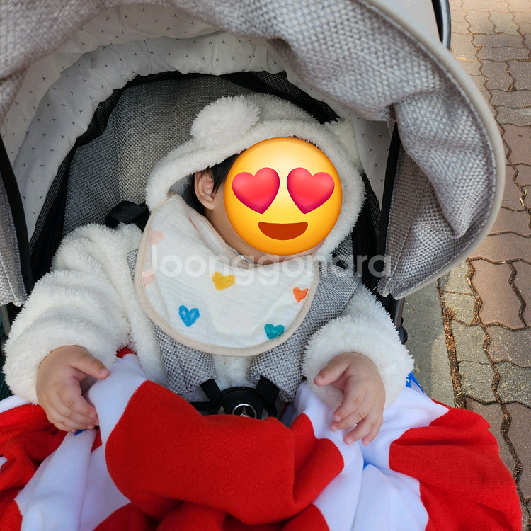 프리미엄 아방가르드 유모차--7