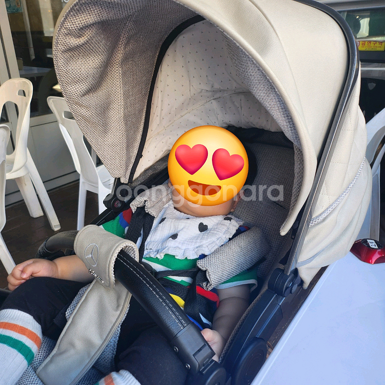 프리미엄 아방가르드 유모차--2