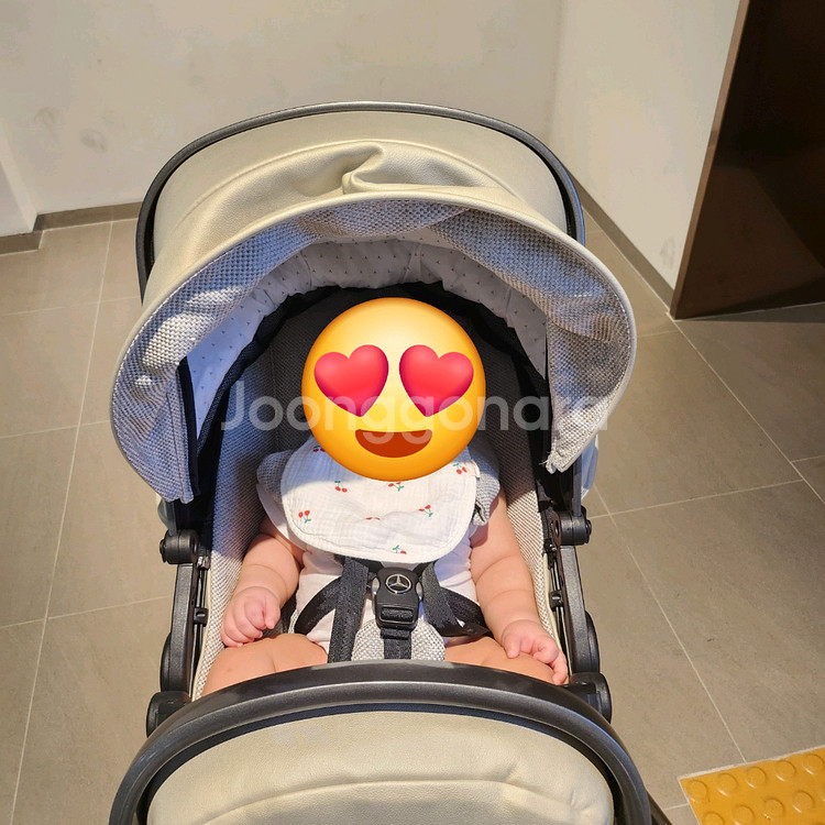 프리미엄 아방가르드 유모차--5