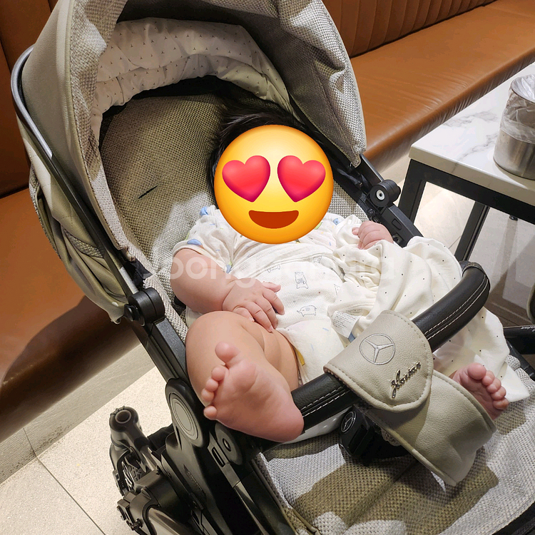 프리미엄 아방가르드 유모차--4