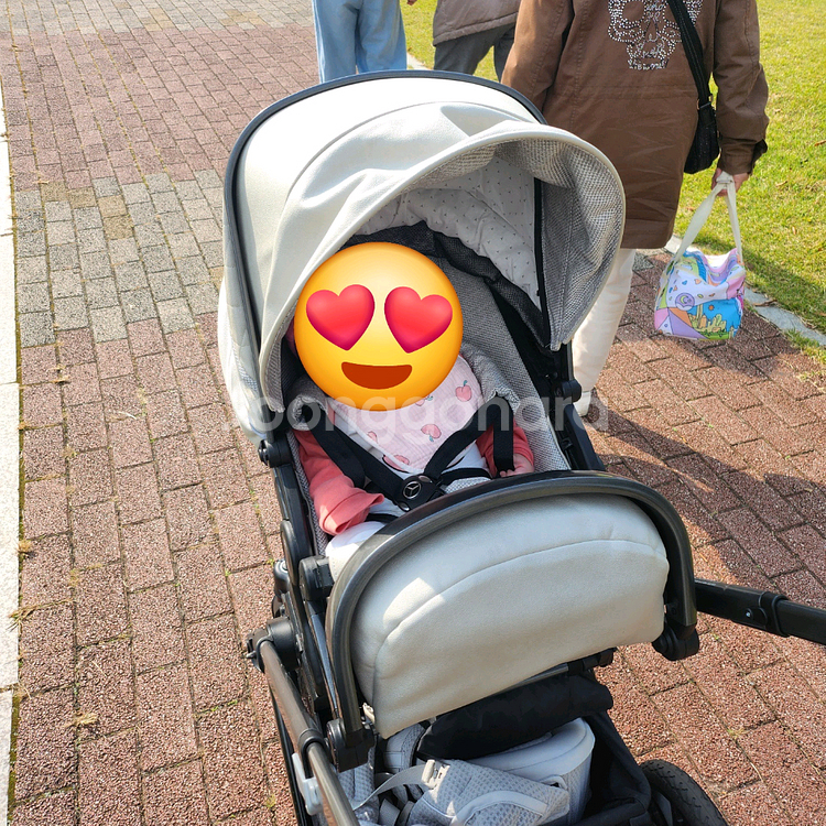 프리미엄 아방가르드 유모차--8