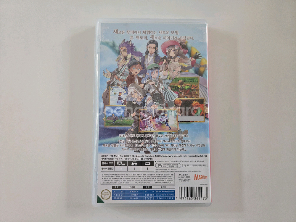 닌텐도 스위치 룬팩토리5--1