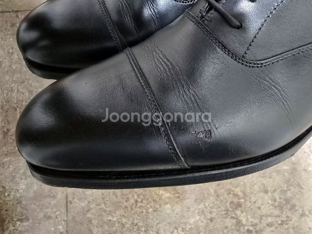 크로켓 오드리 6.5 클리포드 6 / 처카부츠--1