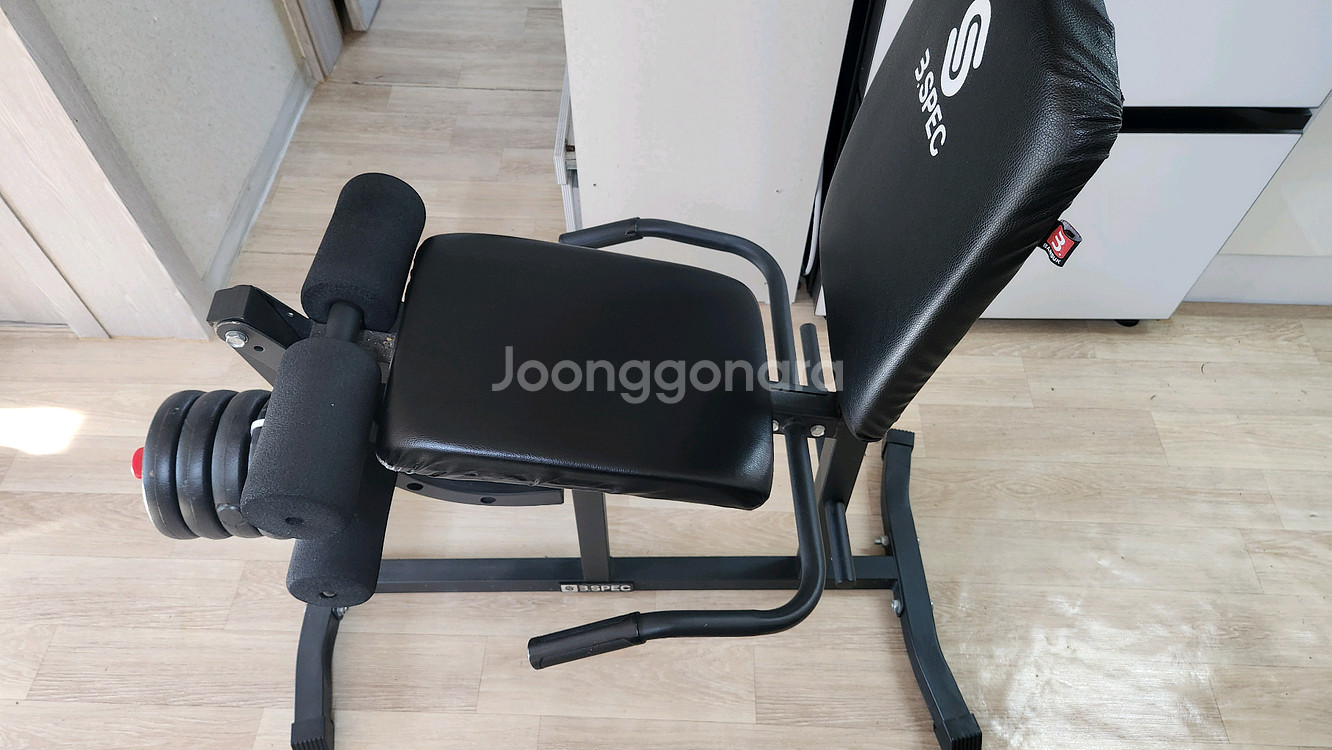 레그 익스텐션--1