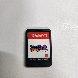 닌텐도 스위치 리버시티 걸즈2
