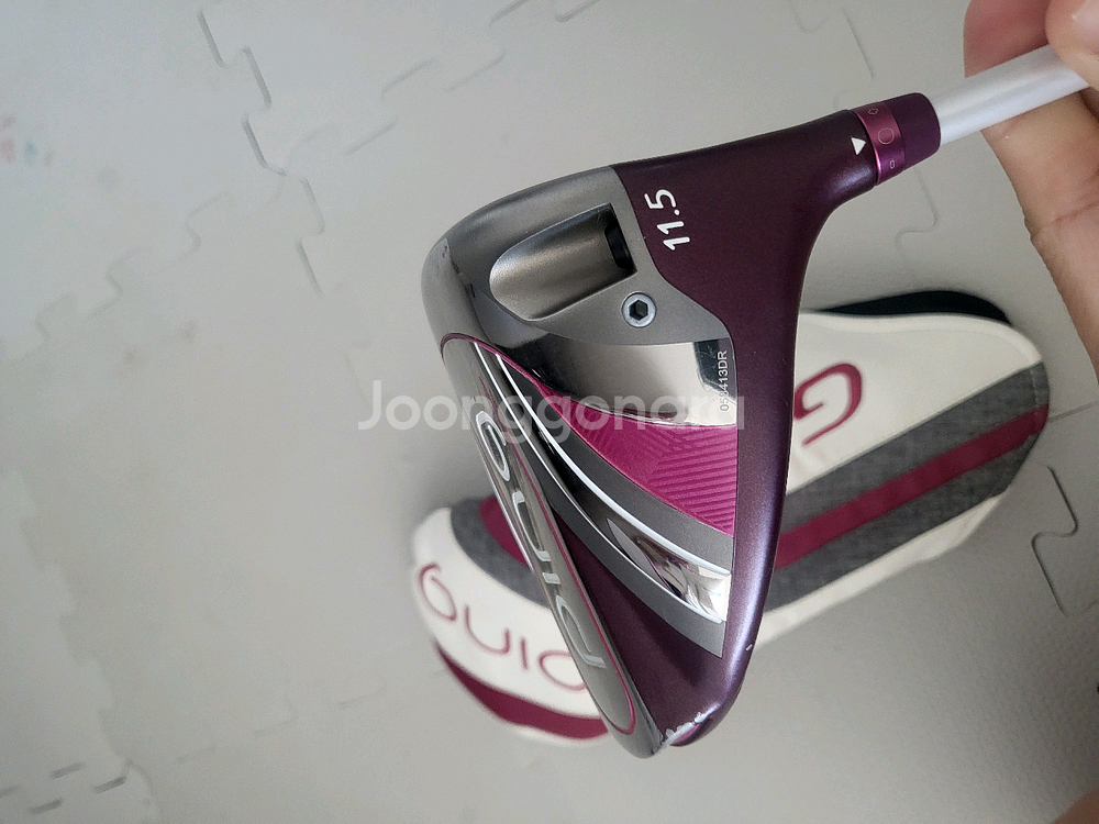 여성용 골프채--1