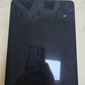 아이패드 프로 11 m1 실버 2테라 셀룰러