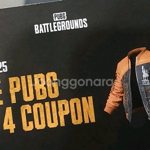 지스타 배그 콰이자켓 삽니다!!