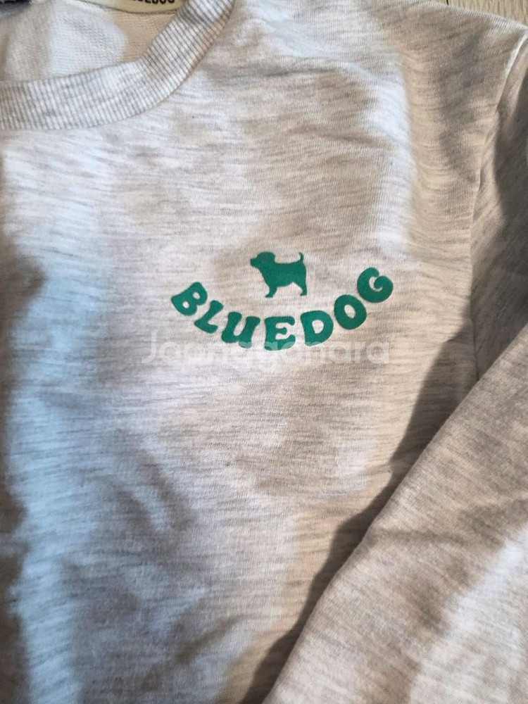 블루독 트레이닝세트 130--1