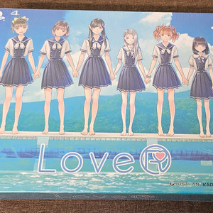 PS4 LOVER 한정판 새상품