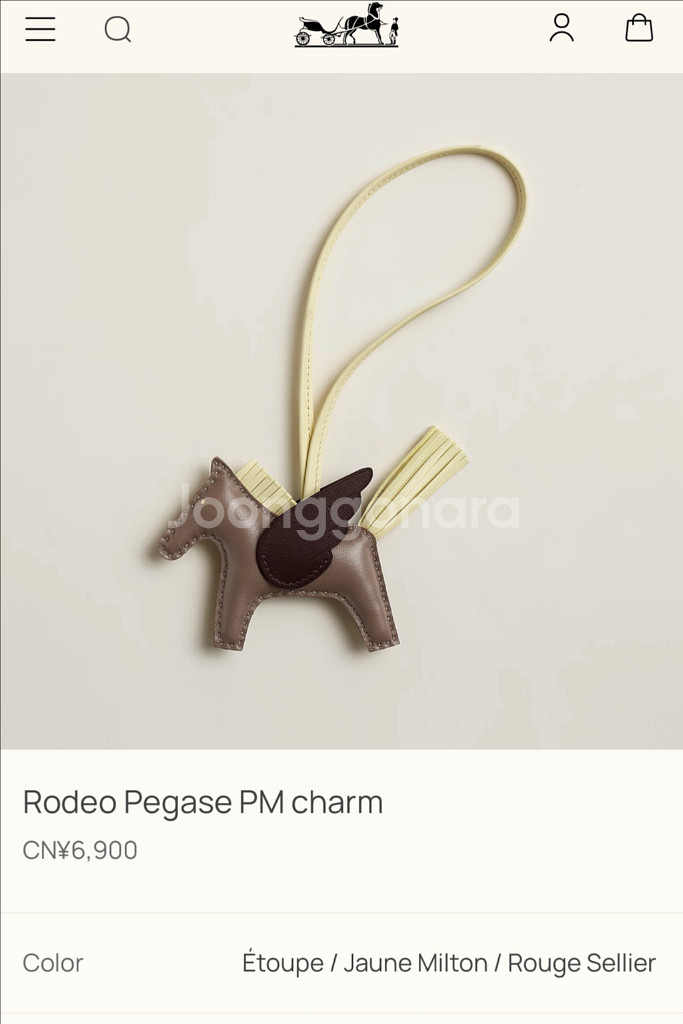 에르메스 로데오 페가수스 참--1