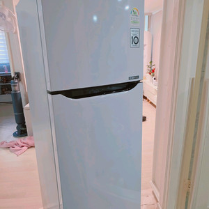 LG 냉장고 2도어 254L