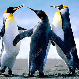 Cgv 영화예매 2장 팔아요 2d만(리클라이너도)가능 16500원