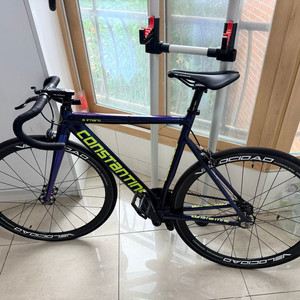 콘스탄틴 버나드 픽시 자전거 2025년 모델 카멜레온 블루