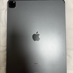 아이패드 프로 11인치 M4 256GB