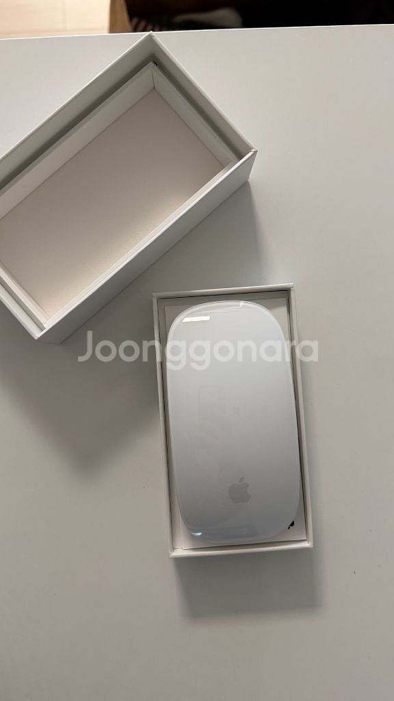 애플 매직마우스 2세대--1