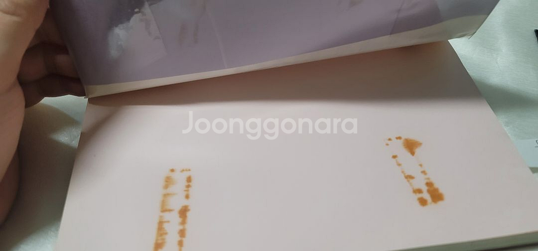 핑클 팬레터 모음집 널사랑해--4