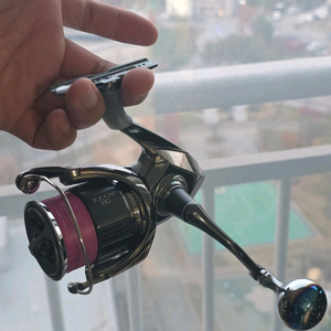 직수) 22스텔라 3000mhg