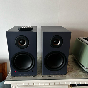 트라이앵글 엘라라 ln01a 액티브 스피커 판매합니다