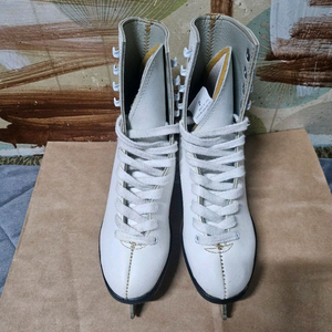 Lake Placid 여아동 피겨 스케이트