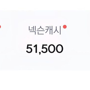 넥슨플레이 포인트 아이템 선물식으로 팝니다. 이미지