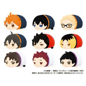 하이큐 모찌모찌 마스코트 미니 풀박스 (모찌마스 미니 1탄) 이미지