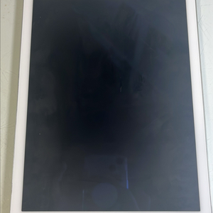 아이패드 에어 2세대 16GB WiFi