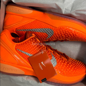 나이키 코비6 프로트로 토탈 오렌지 300 미시착새상품