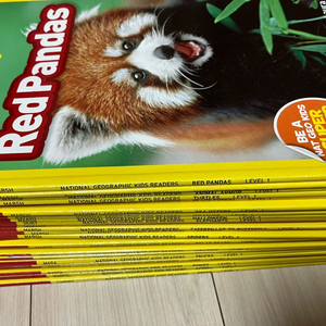 영어 리더스 시리즈 40권 세트