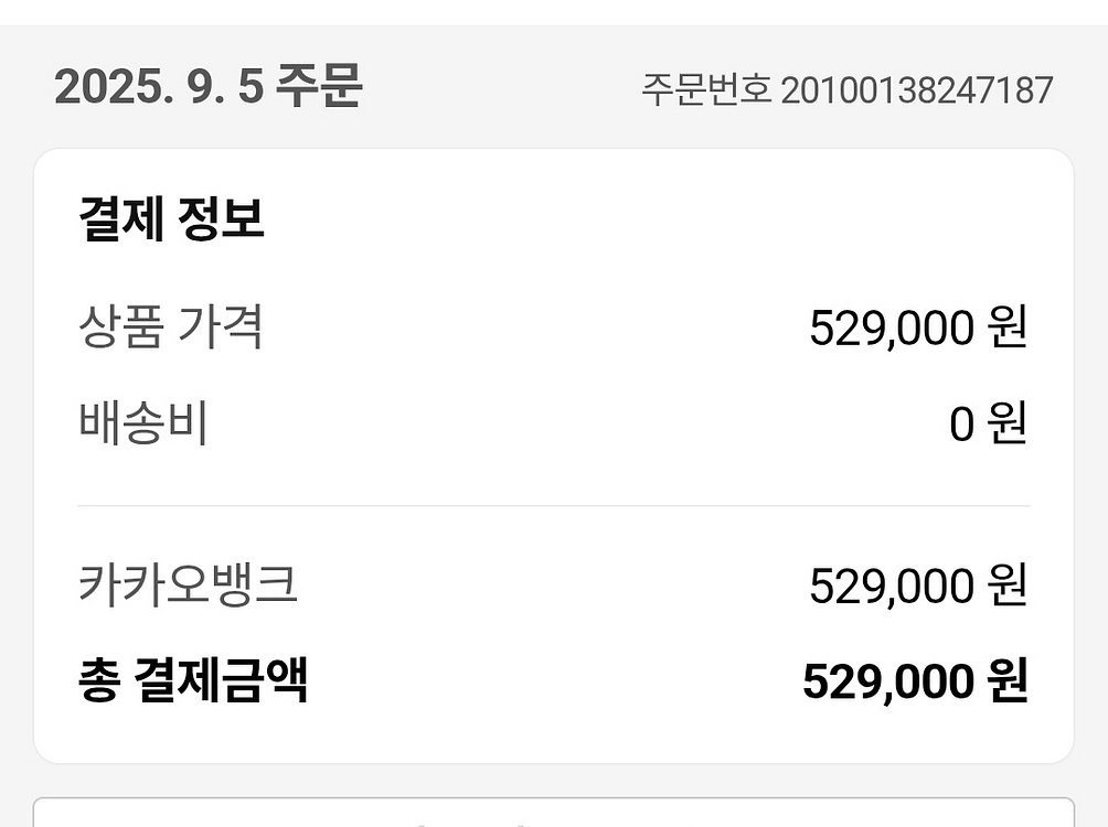 레이윙 디스커버리 접이식 전기자전거--4