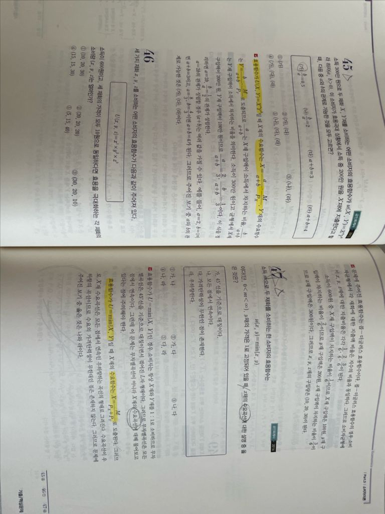 경제학연습 미시거시--2