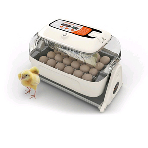 알콤 부화기 킹수로 맥스20